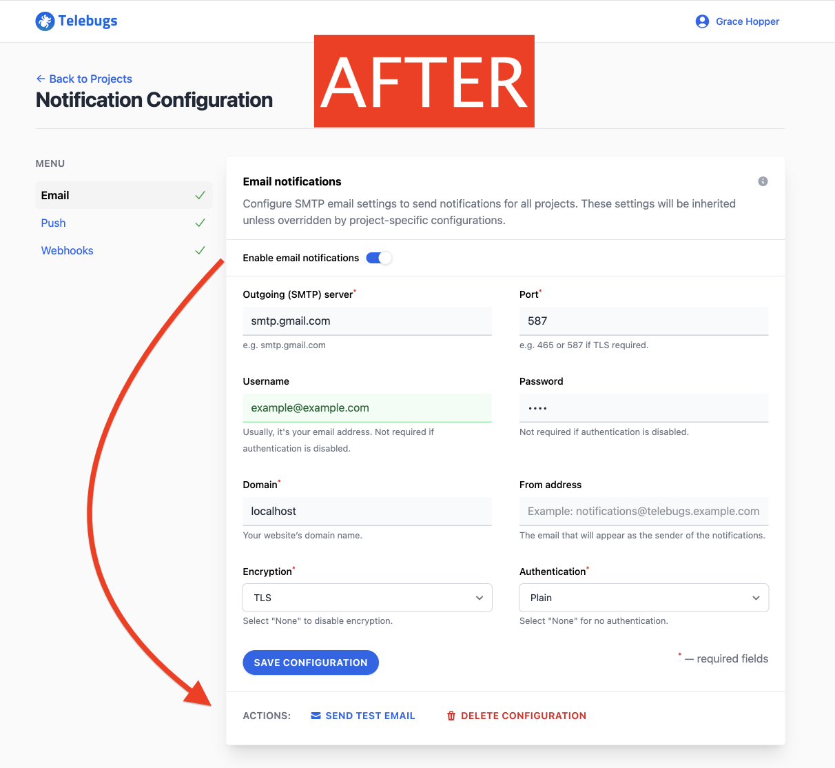 Email notifications configuration in Telebugs (after)