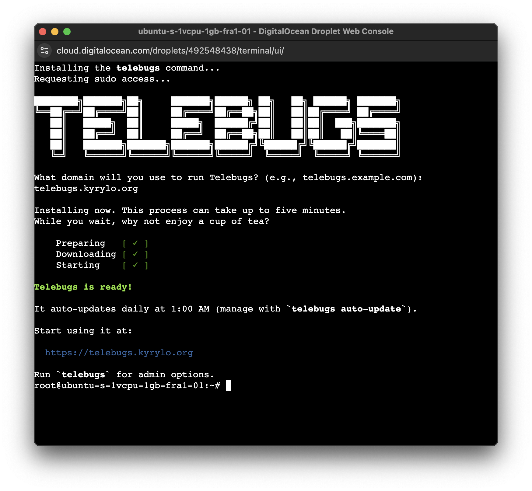 Telebugs installation process for quick error tracking setup