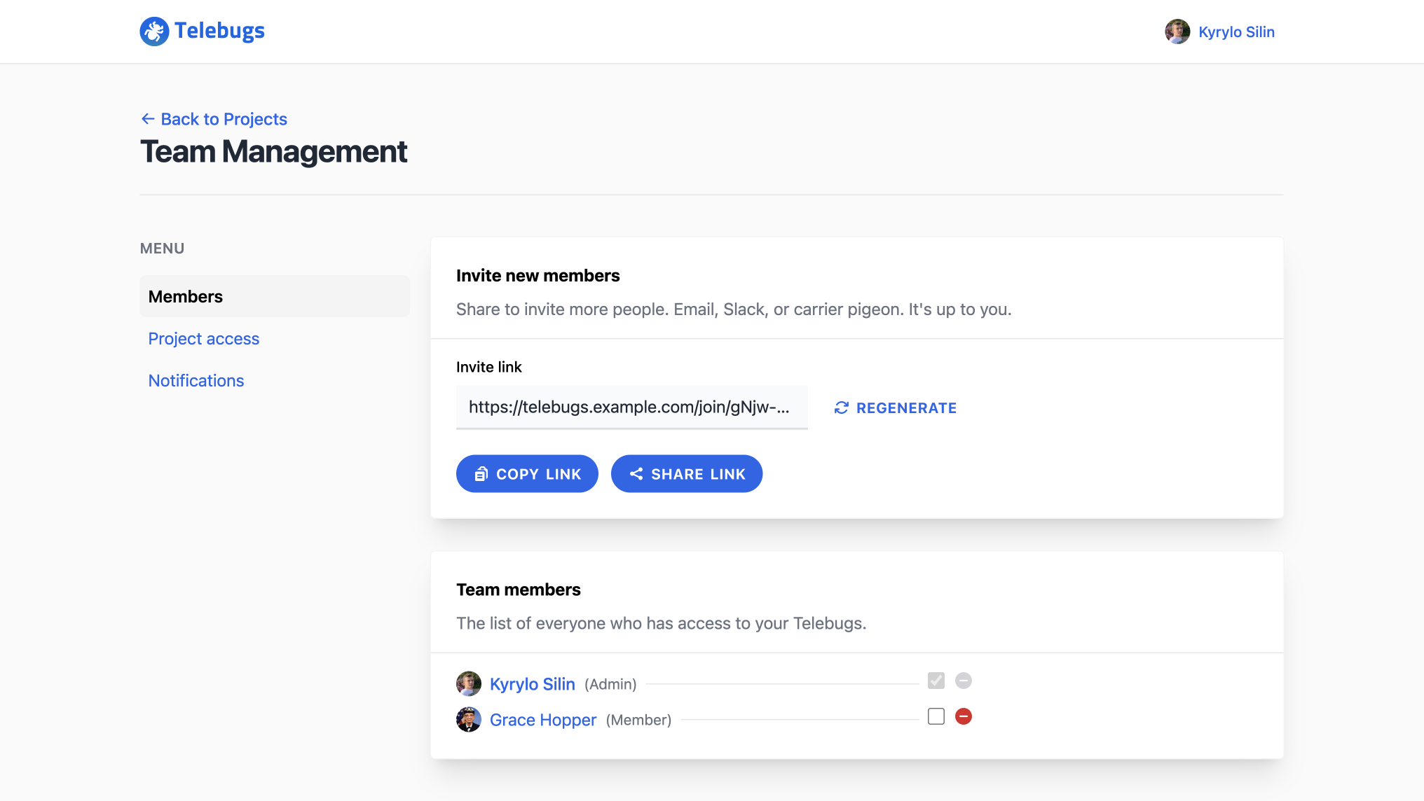 Team management view
