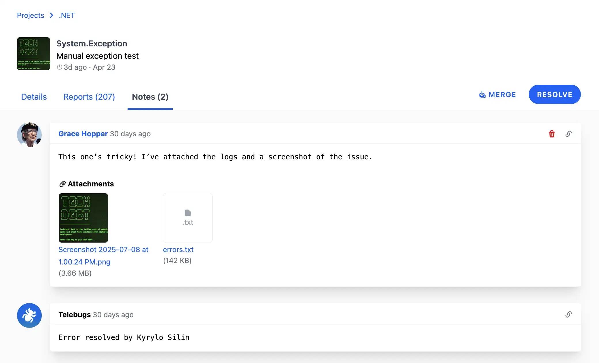 Notes section with team comments