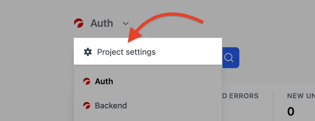Project settings menu in the project view